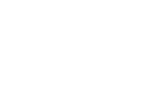 DRIVE IMPORT